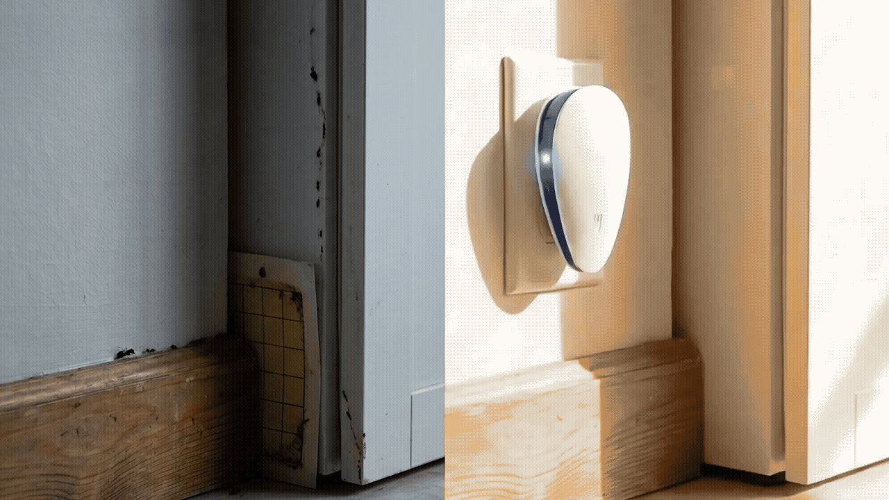 Before and after view of a calmer home environment with Pulsward in use